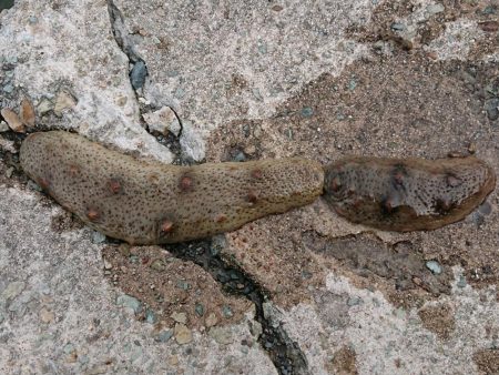 タイミング悪い